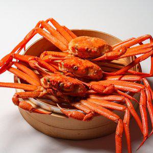 [전라도 청년] 당일조업 동해안 자연산 B급 자숙홍게 5kg 12-15미