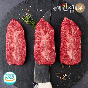 농협안심한우 1등급 한우 부채살 300g