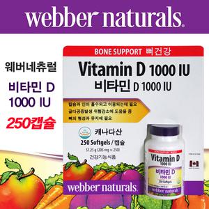코스트코 웨버네츄럴 비타민D1000IU 비타민디 250캡슐 임산부 영양제 햇빛노출이 부족하신 분