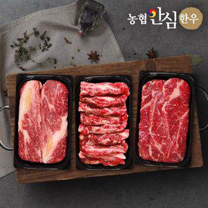 [농협안심한우] 1등급 구이채반 2호 선물세트 1kg (등심400g+특수부위300g+채끝300g)