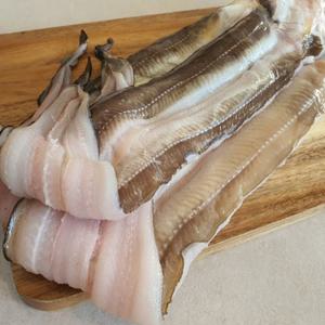 대 생선 바다장어 자연산 통영 1kg 장어 붕장어