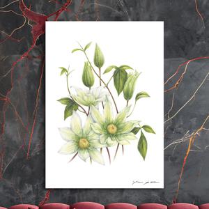 은작가 스튜디오 큰꽃으아리 인테리어 꽃그림액자 싱그러운 봄을 담은 꽃 아크릴/캔버스 꽃액자