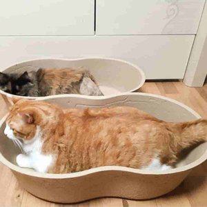 [기타]집 하우스 베드 방석 고양이 쇼파 매트 종이 강아지침대 고양이장난