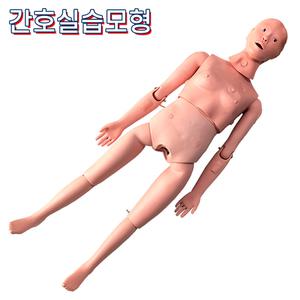Nursing 간호실습마네킹 DM-2S 실제사이즈 160cm 13kg CPR기능 포함