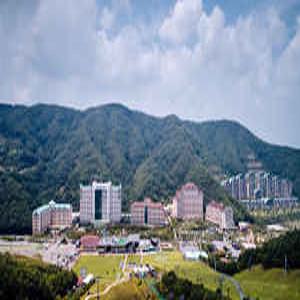 소노캄 비발디파크