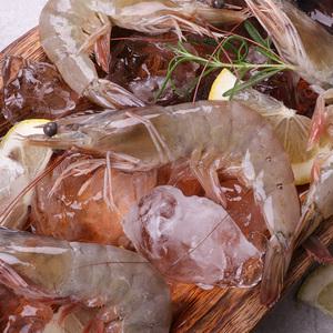 신선한 흰다리 새우 15마리 500g 왕새우 대하구이 캠핑 홈파티