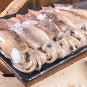 손질 통오징어 원양산 선동 세척 4미