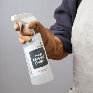 프리미엄 곰팡이 제거제 500ml X 2개 욕실세제 결로 벽지