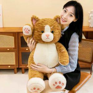바디필로우 귀여운 고양이 봉제 인형 애착 장난감 쿠션 침대 방석