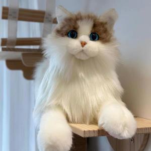 진짜같은 고양이 인형 가짜 실제 리얼 애니멀 애완동물 페르시안