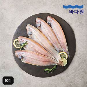 국내산 반건조 군산박대 10미