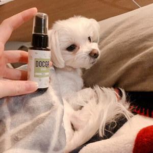 강아지 심리안정제 독가 릴렉스 30ml 노즈워크 스프레이