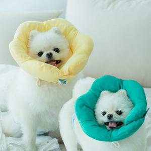 강아지 애견 고양이 중형견 넥카라 깔대기 천 꽃넥카라 목보호대 쿠션 시즌2프라가S