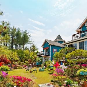 [경북 펜션] 경주 아델리아펜션 가동 (경주(보문단지,황리단길,불국사,양남,감포,안강))