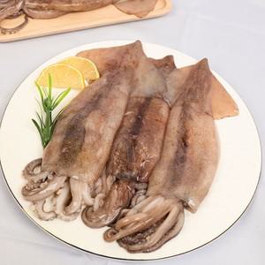 쫄깃한 손질 통오징어(270g) 2미 x 3팩 총 6미