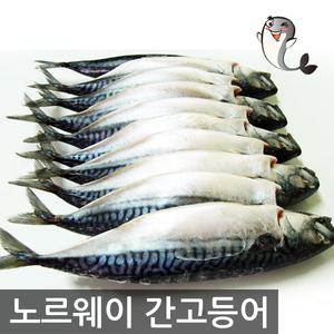 노르웨이 간고등어 5손(10마리) 大