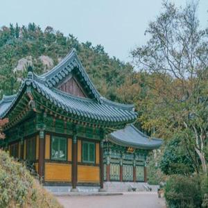 솔바다바람 산책여행/특식,리조트숙박