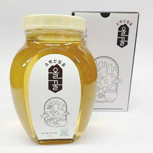 [기타]영주 산지직송 소백산올꿀 100% 천연 아카시아벌꿀 2.4kg