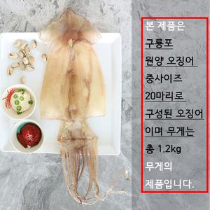 구룡포 건조 오징어 20미 한축 포항 마른오징어 1.2kg