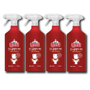 홈스타 뿌리는 곰팡이싹 750ml x 4개 곰팡이 제거제