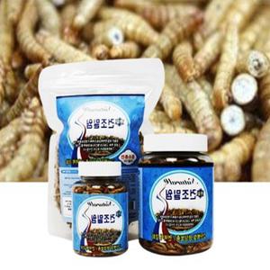 우파루파먹이 밀엄 슈가글라이더 사료 극소밀웜 25g