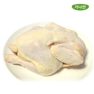 가나안식품 토종닭 1.5kg 생닭 백숙 몸보신 한방약재