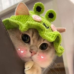 반려안경 모자 귀여운 고양이 수제 니트 애완 동물 조절 가능한 탄성 장식 강아지
