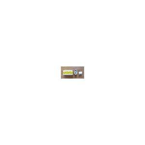 정품 ALLEN BRADLEY AB HEATER COIL ELEMENT N9 THERMAL