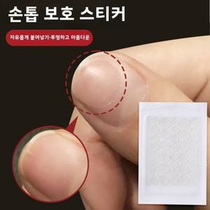 보호 스티커 손톱 끌림 투명 자동 워터에 강한