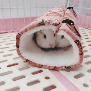 겨울 햄스터 터널 2개입 소동물 주머니 따뜻한 하우스