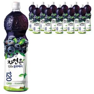 자연은 블루베리 음료수 당충전 주스 1.5L 12개