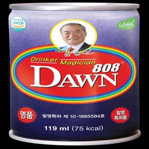 여명808 119ml 15캔
