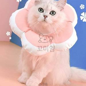 꼬미얌 넥카라 L 고양이쿠션넥카라