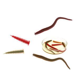 버클리 걸프 샌드웜 범용 2인치 6인치 갯지렁이 청개비 홍개비 웜