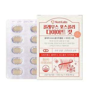 클레우스 포스콜리 포스콜린 효능 콜레우스 다이어트컷