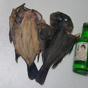 [셀러허브 식품]반건조 통영 우럭 1마리 400-500g 대짜 자연산 우럭 반 건조 우럭 말린우럭 건우럭 손질우