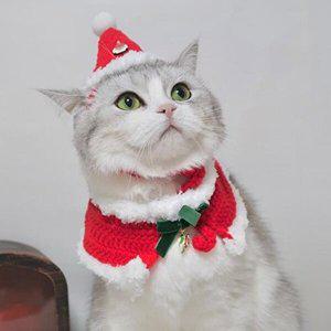 [셀러허브 패션][JHP1Q756_51CM]강아지고양이 스노우 산타모자 케이프 2종