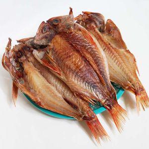 속초 중앙시장 맛집 반건조 볼락 30cm 2마리