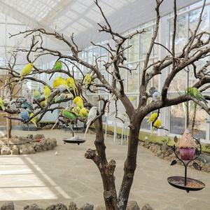 |6월 이벤트|제주 화조원 (가볼만한곳/관광지/제주투어/인생샷/힐링/가족/연인/친구/아이와함께/테마파크/키즈)
