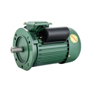 단상 모터 220V 산업용 바이브레타 기어 전동기 100W 220v AC모터 속도 비동기