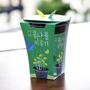 [셀러허브 1]새싹키트 시루 관찰일지 재배 한컵쑥쑥 콩나물키우기