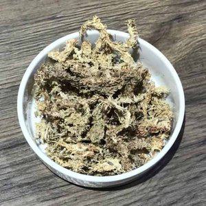 고품질 천연건조압축 수태 (150g)토피어리난재배용 그로브팟 튤립화분 유리어항 현무암화분 (WFHRZ5Z)