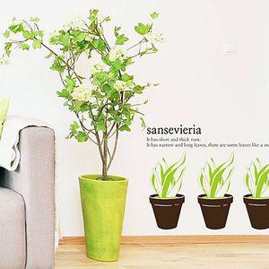 알티피아 산세베리아 포인트그래픽스티커 시트지 벽지(W013895)