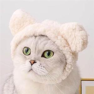 강아지겨울옷 고양이모자 강아지모자 반려견 반려묘 귀여운