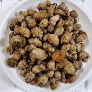 남해안 오만둥이 1kg