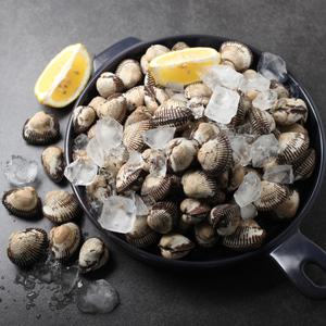 남해안 활 새꼬막 2kg(소) 매일새벽채취 