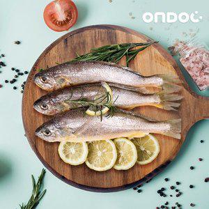 [온도씨]제주 참조기 중 800g내외 (10마리)
