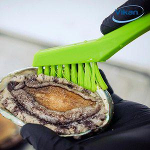 [바이칸] 전복솔 꽃게 해산물 야채 세척브러쉬 주방틈새청소솔