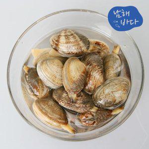 갤러리아 [남해바다] 바지락 2kg