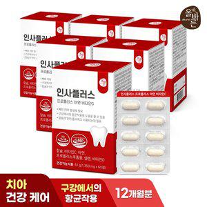 [기타]올바른 인사플러스 프로폴리스 아연 비타민C 총2개월분 6박스 (총360정)